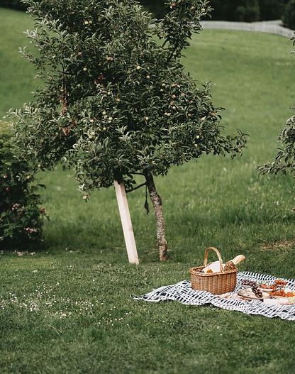 rosenhof-murau-picknick-im-grünen-bodenständig