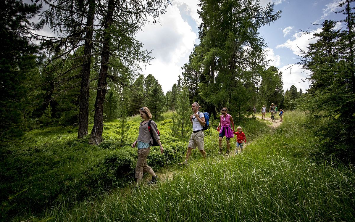 holzwelt-murau-tom-lamm-kreischberg-1-1